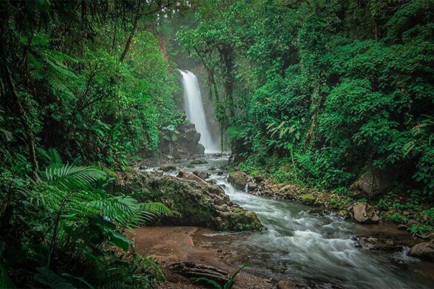 Jardines de las Cataratas de la Paz