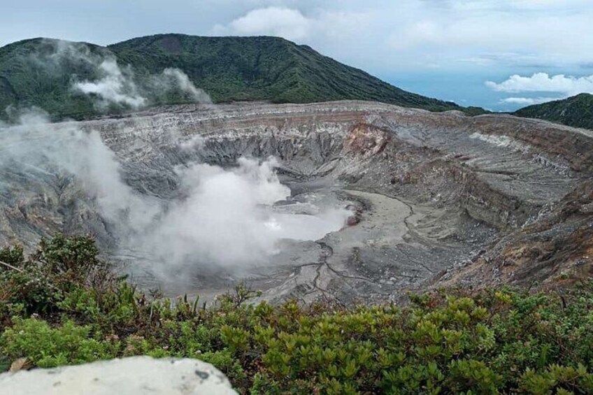 Coffee Experience and Poas Volcano half day tour from San José