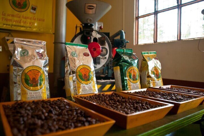 Coffee Beans 