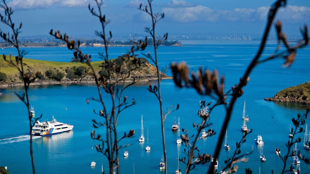 View of a boat on the water in Auckland