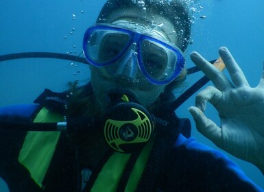 Pula: Introduction to Scuba Diving