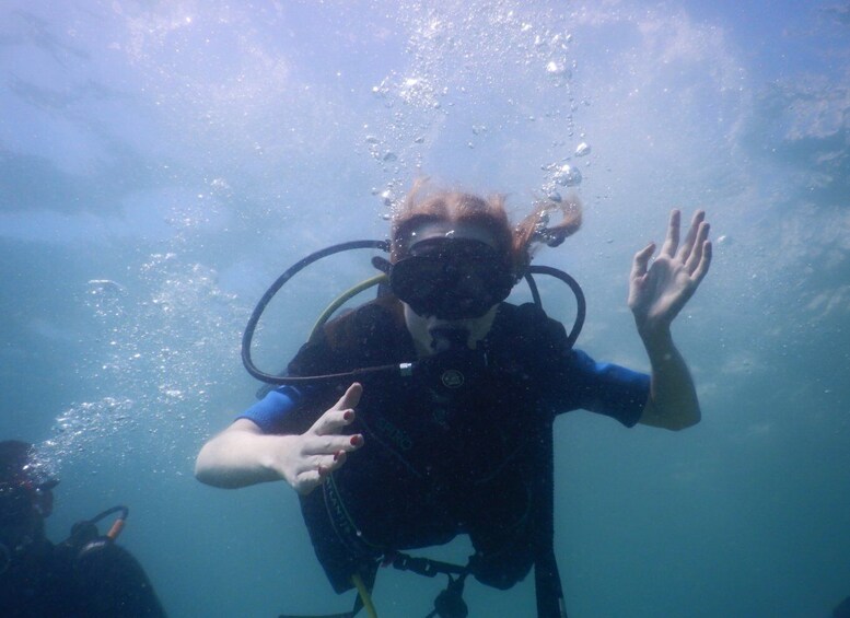 Picture 6 for Activity Pula: Introduction to Scuba Diving