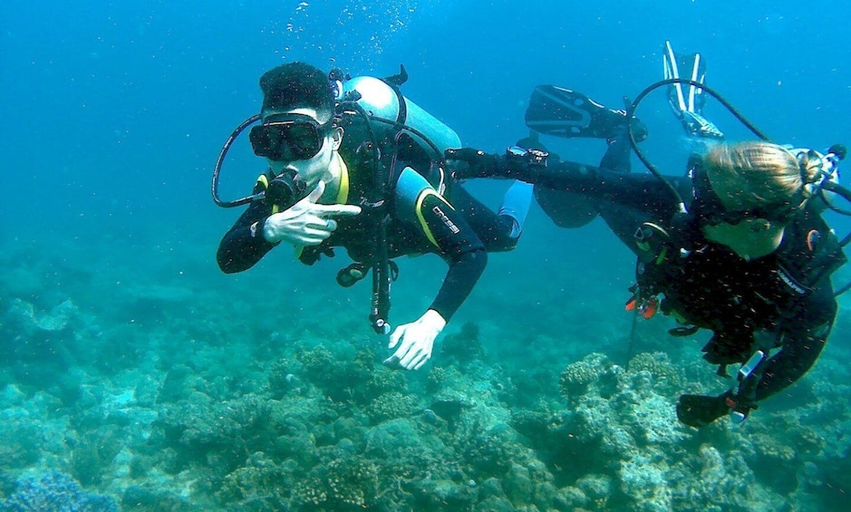 Picture 5 for Activity Pula: Introduction to Scuba Diving