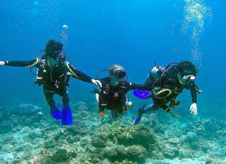 Picture 1 for Activity Pula: Introduction to Scuba Diving