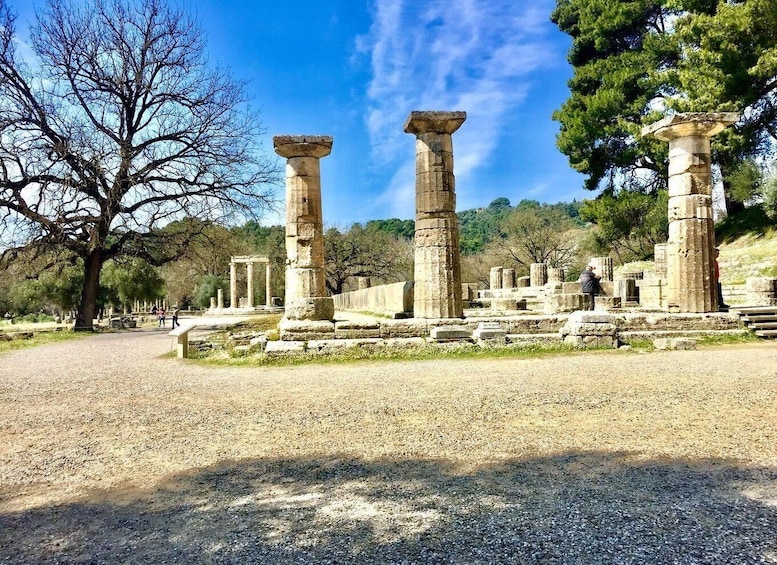 Picture 1 for Activity Ancient Olympia: Private Tour site, museum, bee farm, winery