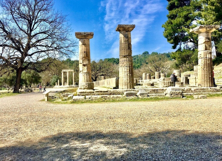 Picture 4 for Activity Ancient Olympia: Private Tour site, museum, bee farm, winery