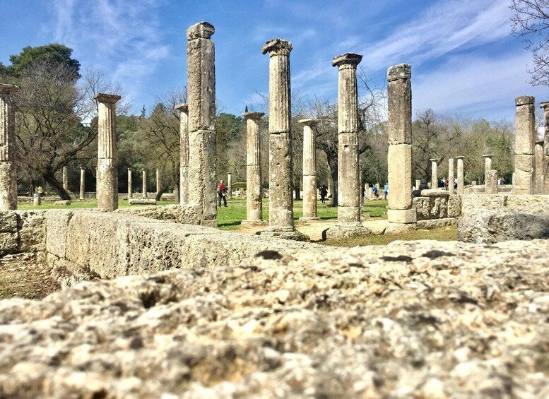 Picture 5 for Activity Ancient Olympia: Private Tour site, museum, bee farm, winery