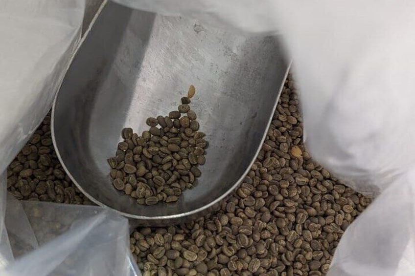 We have selected the best beans for a great roasting experience.