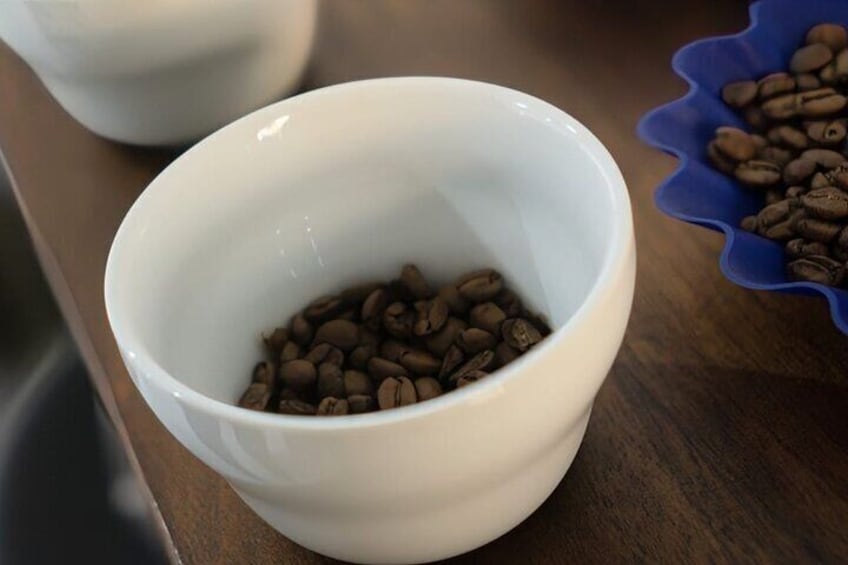 Private Roasting and Cupping Coffee Experience in San Jose