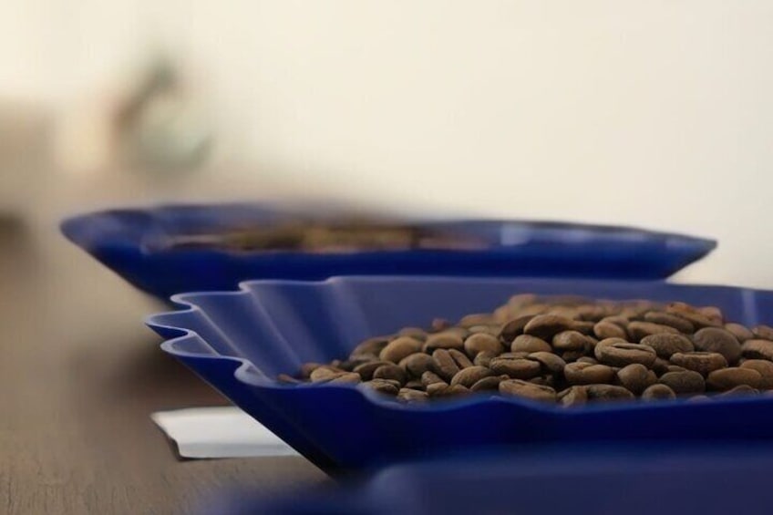 Private Roasting and Cupping Coffee Experience in San Jose