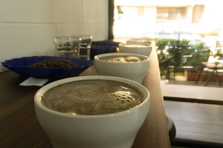 Private Roasting and Cupping Coffee Experience in San Jose