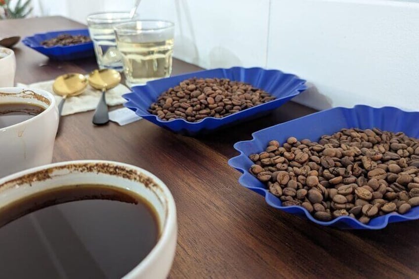 Private Roasting and Cupping Coffee Experience in San Jose