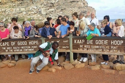 Cape of Good Hope,Penguins and Seals full day Tour.