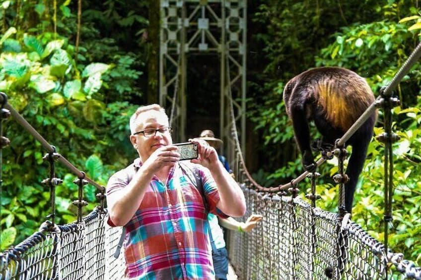 The Mistico Hanging Bridges