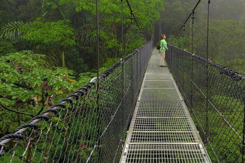 The Mistico Hanging Bridges