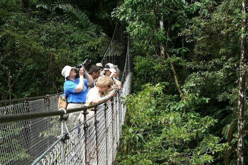 The Mistico Hanging Bridges