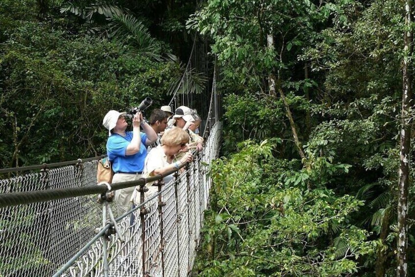 The Mistico Hanging Bridges