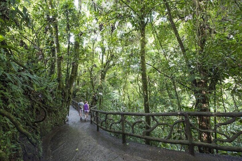 The Mistico Hanging Bridges