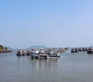 From Mumbai: Full-Day Elephanta Caves Tour