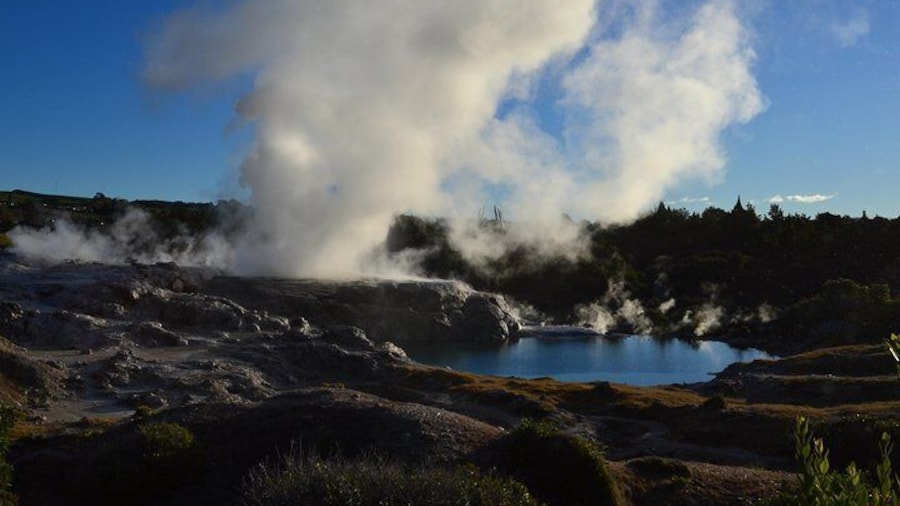 Biggeset Geyser Of Southern Hemisph