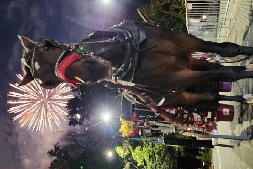 Private Horse Carriage Ride in Central Park