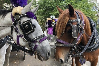 Full loop Private Horse Carriage Ride in Central Park 45 Minutes