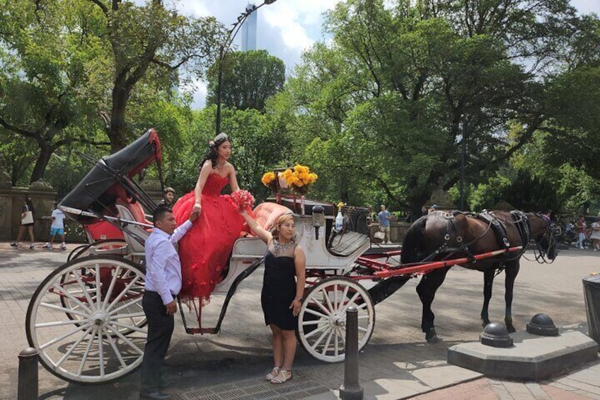 Private Horse Carriage Ride in Central Park