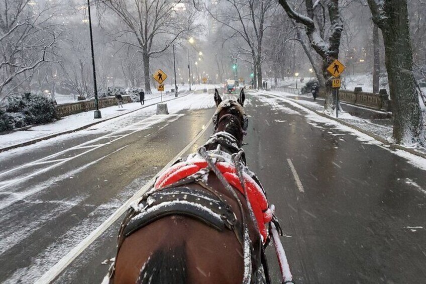 Private Horse Carriage Ride in Central Park