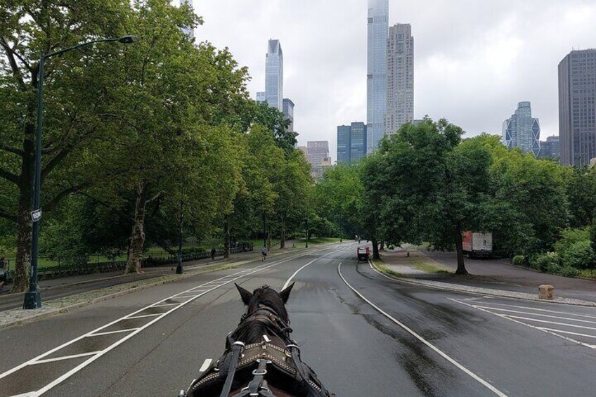 Private Horse Carriage Ride in Central Park