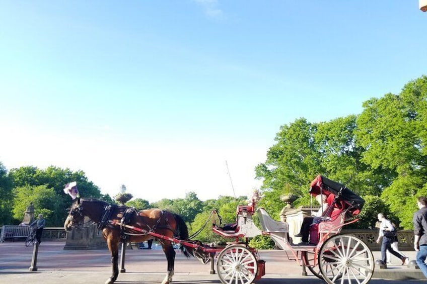 Private Horse Carriage Ride in Central Park