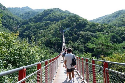 DMZ Tour, 3rd Tunnel & Red Suspension Bridge from Seoul