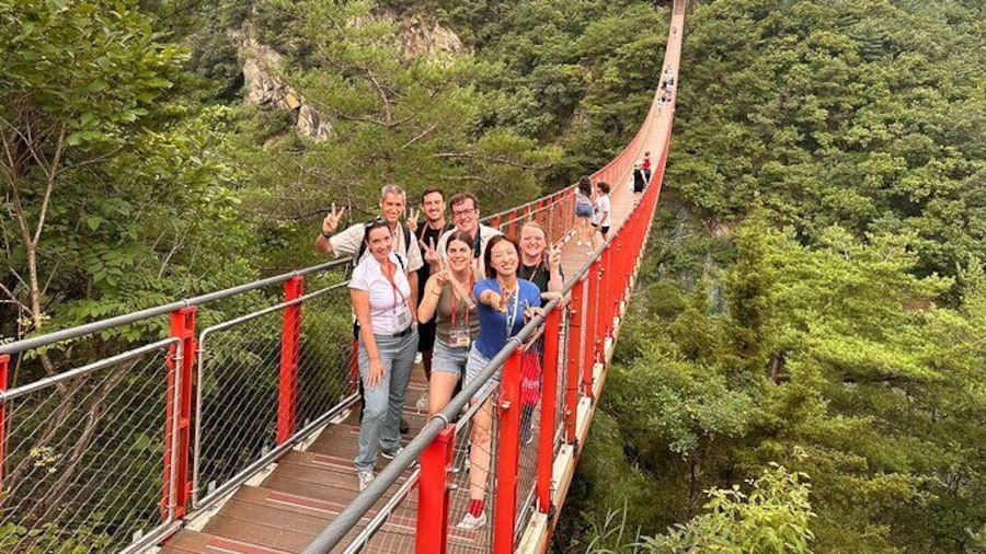 DMZ Tour, 3rd Tunnel with Red Suspension Bridge from Seoul