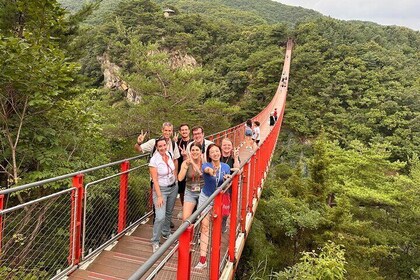 DMZ Tour, 3rd Tunnel & Red Suspension Bridge from Seoul