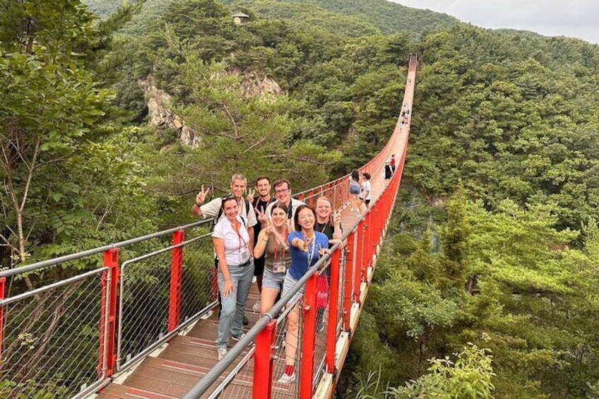 DMZ Tour, 3rd Tunnel & Red Suspension Bridge from Seoul