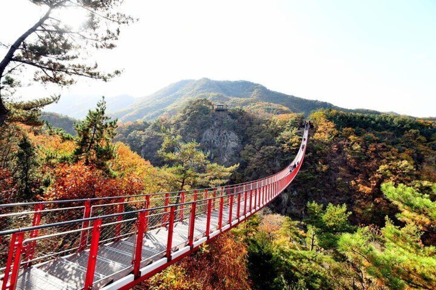 DMZ Tour: 3rd Tunnel & Red Suspension Bridge from Seoul