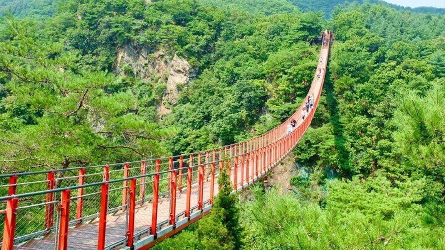 Seoul DMZ Tour with 3rd Tunnel and Red Suspension Bridge