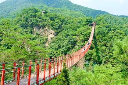Visite de la DMZ de Séoul avec 3ème tunnel et pont suspendu rouge