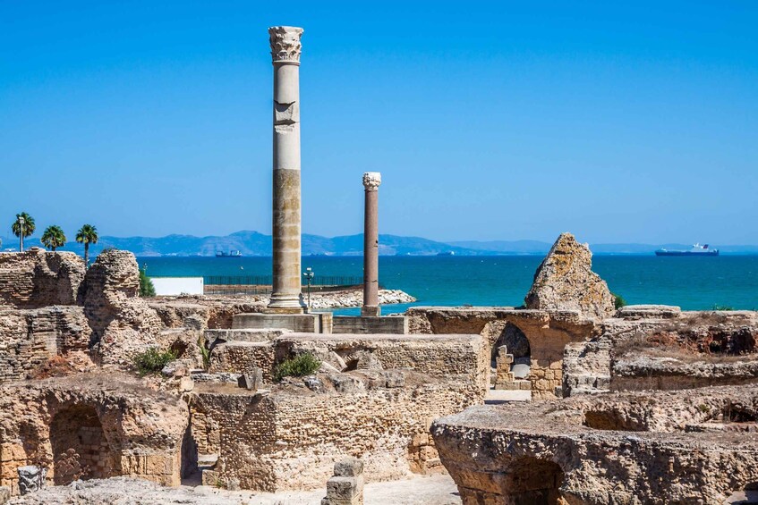 From Tunis: Carthage, Sidi Bousaid, Bardo, Médina