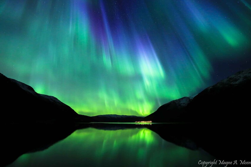 Tromsø: Northern Lights Chase with Free Photos