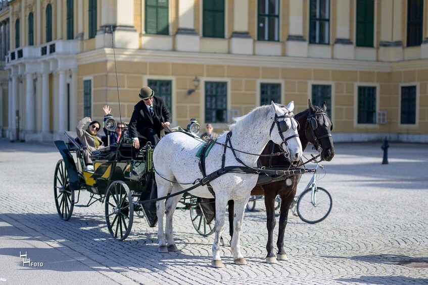 Picture 3 for Activity Vienna: Carriage Ride Through Schönbrunn Palace Gardens