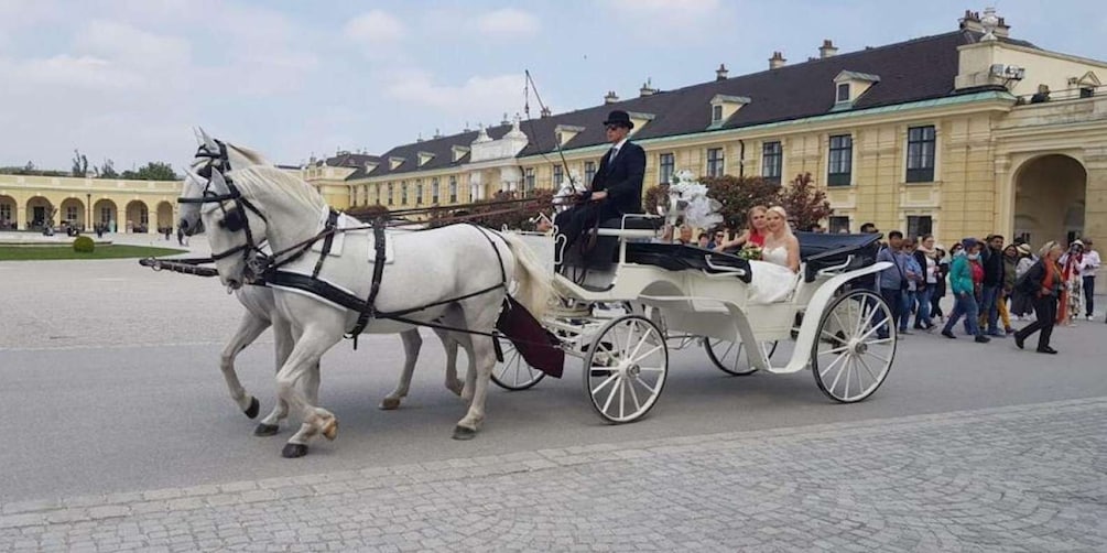 Picture 1 for Activity Vienna: Carriage Ride Through Schönbrunn Palace Gardens