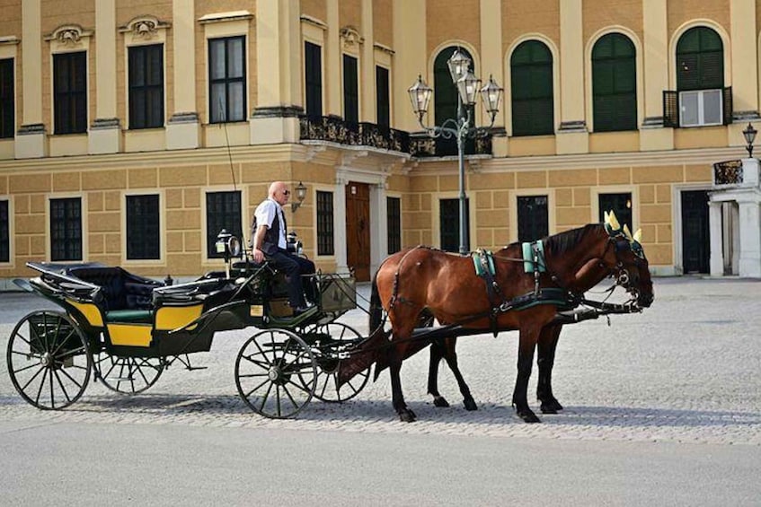 Picture 2 for Activity Vienna: Carriage Ride Through Schönbrunn Palace Gardens