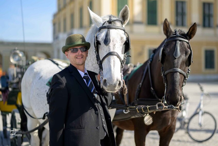 Picture 7 for Activity Vienna: Carriage Ride Through Schönbrunn Palace Gardens