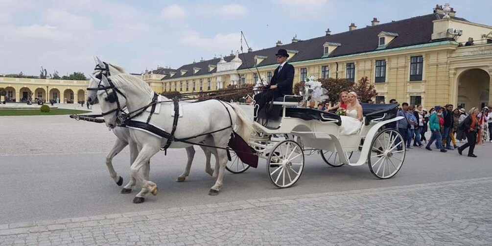 Picture 2 for Activity Vienna: Carriage Ride Through Schönbrunn Palace Gardens