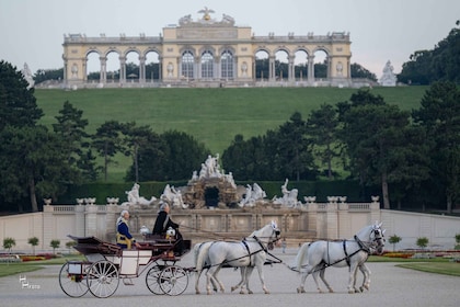 Wien: Körning med vagn genom Schönbrunn-slottets trädgård