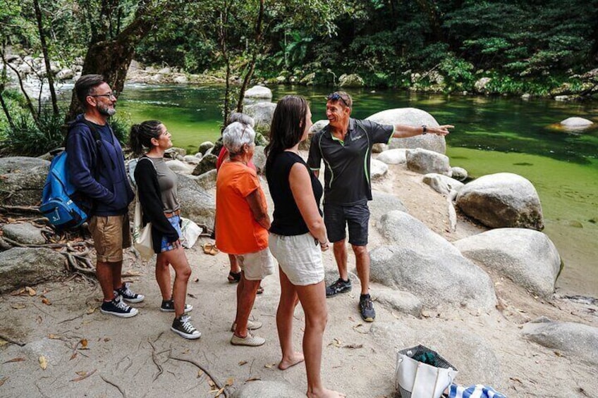 Your guide knows where to safely swim at Mossman Gorge 