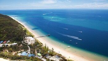 Tangalooma Island Resort Day Trip