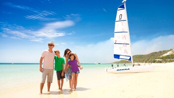 Tangalooma Island Resort Day Trip