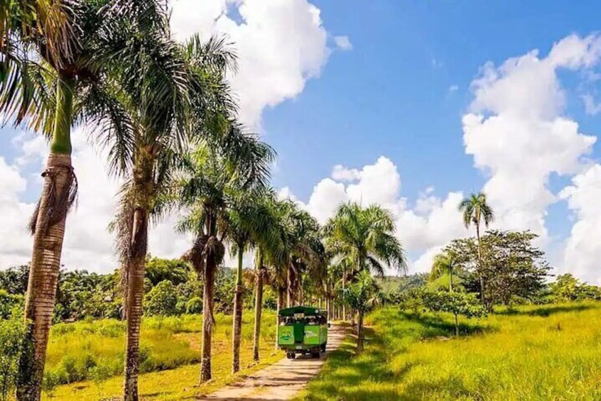 Full Dominican Adventure: Zipline, ATV Buggie, Horseback & Safari