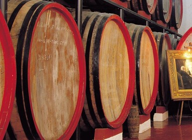 Marsala: Tour delle cantine con degustazione di vini e prodotti locali